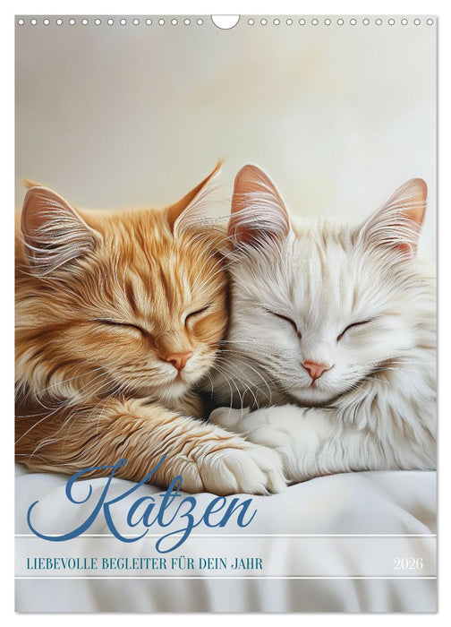 Katzen (CALVENDO Wandkalender 2026)