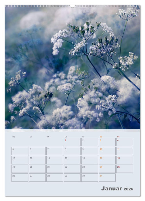 Magie im Garten (CALVENDO Premium Wandkalender 2026)