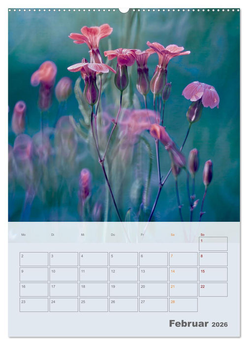 Magie im Garten (CALVENDO Premium Wandkalender 2026)