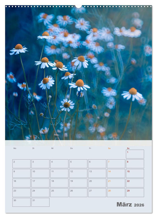 Magie im Garten (CALVENDO Premium Wandkalender 2026)