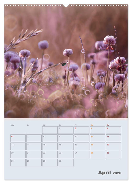 Magie im Garten (CALVENDO Premium Wandkalender 2026)