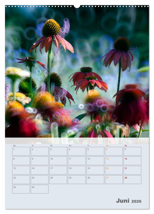 Magie im Garten (CALVENDO Premium Wandkalender 2026)