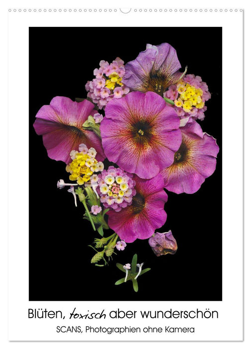 Blüten, toxisch aber wunderschön (CALVENDO Wandkalender 2026)
