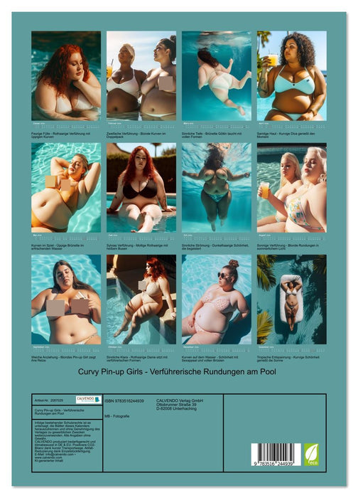 Curvy Pin-up Girls - Verführerische Rundungen am Pool (CALVENDO Premium Wandkalender 2026)