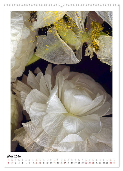 Blüten, toxisch aber wunderschön (CALVENDO Premium Wandkalender 2026)