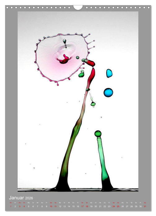 Tropfenfänger (CALVENDO Wandkalender 2026)