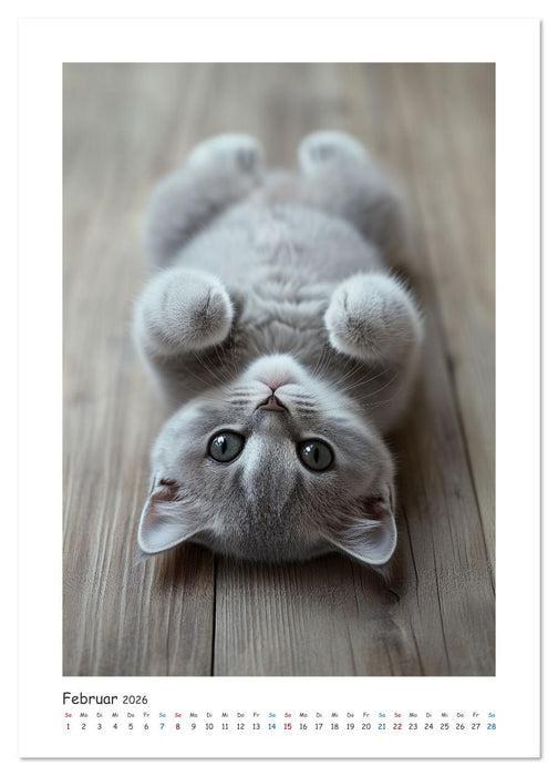 Treue Wegbegleiter (CALVENDO Premium Wandkalender 2026)