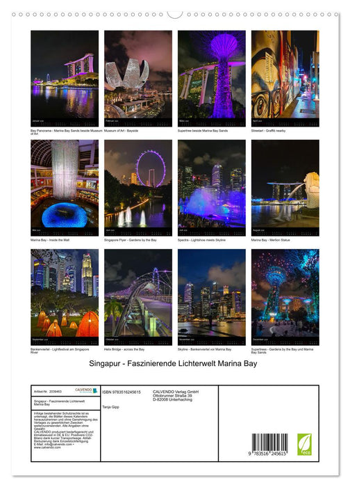 Singapur - Faszinierende Lichterwelt Marina Bay (CALVENDO Premium Wandkalender 2026)