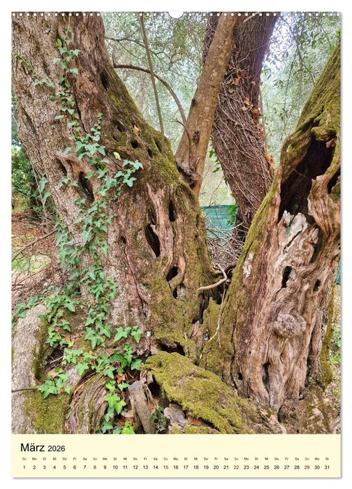 Korfu Grüne Insel im Ionischen Meer (CALVENDO Premium Wandkalender 2026)
