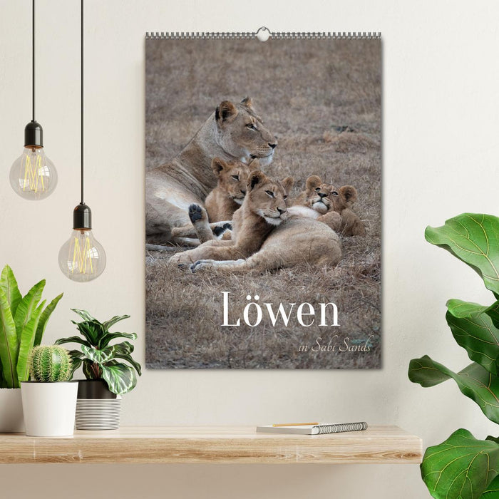 Löwen in Sabi Sands (CALVENDO Wandkalender 2026)