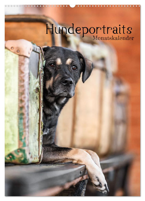 Hundeportraits - Monatskalender (CALVENDO Wandkalender 2026)