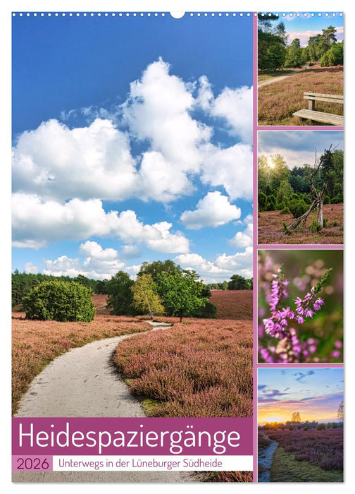 Heidespaziergänge (CALVENDO Wandkalender 2026)