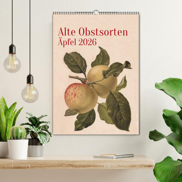 Alte Obstsorten - Äpfel 2026 (CALVENDO Wandkalender 2026)