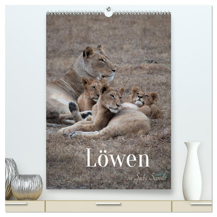 Löwen in Sabi Sands (CALVENDO Premium Wandkalender 2026)