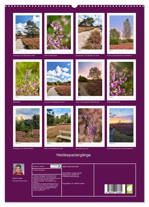 Heidespaziergänge (CALVENDO Premium Wandkalender 2026)