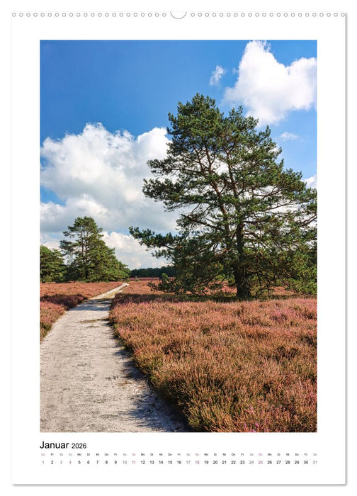 Heidespaziergänge (CALVENDO Premium Wandkalender 2026)