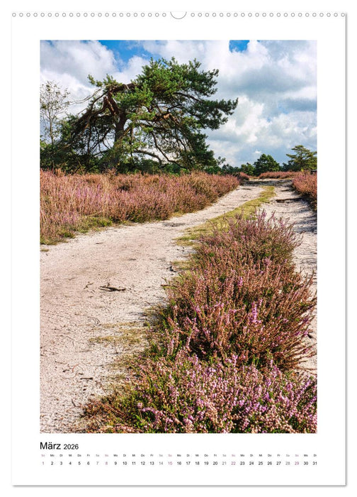 Heidespaziergänge (CALVENDO Premium Wandkalender 2026)