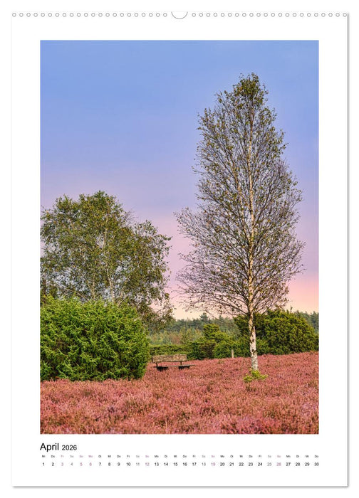 Heidespaziergänge (CALVENDO Premium Wandkalender 2026)