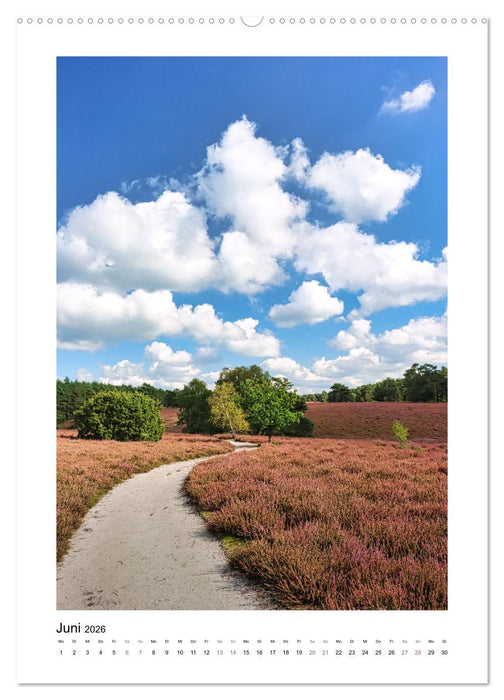 Heidespaziergänge (CALVENDO Premium Wandkalender 2026)