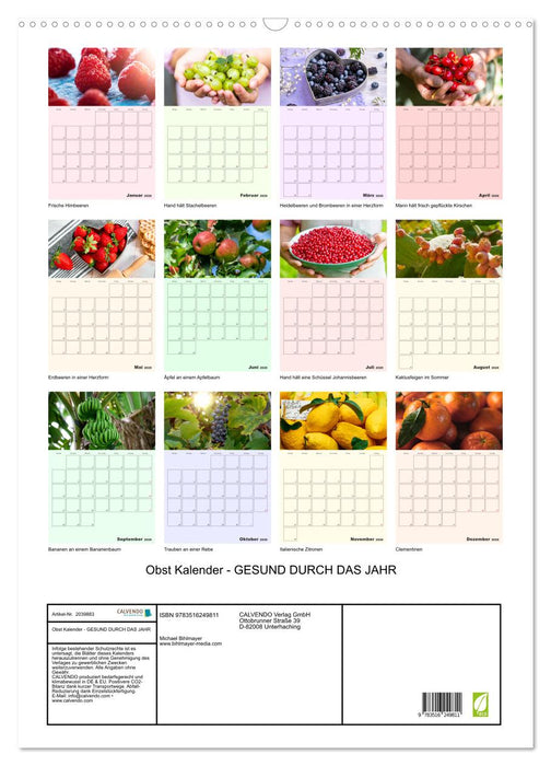 Obst Kalender - GESUND DURCH DAS JAHR (CALVENDO Wandkalender 2026)