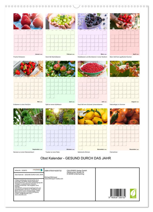 Obst Kalender - GESUND DURCH DAS JAHR (CALVENDO Premium Wandkalender 2026)