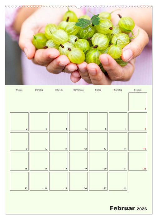Obst Kalender - GESUND DURCH DAS JAHR (CALVENDO Premium Wandkalender 2026)