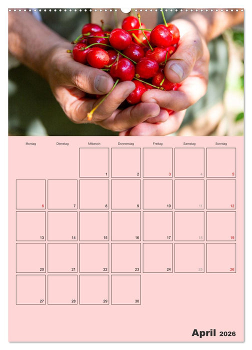 Obst Kalender - GESUND DURCH DAS JAHR (CALVENDO Premium Wandkalender 2026)