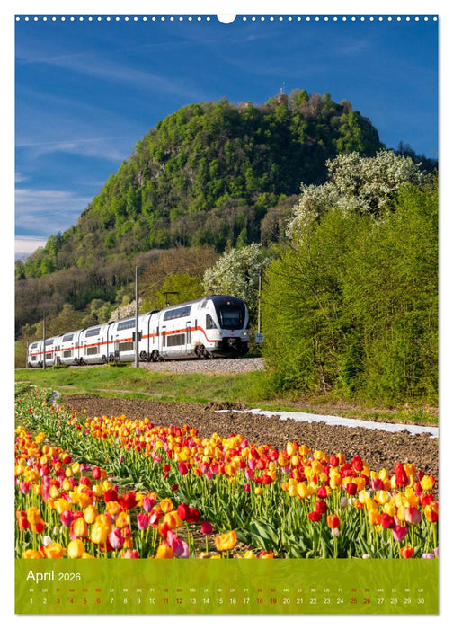 Singen am Hohentwiel (CALVENDO Wandkalender 2026)