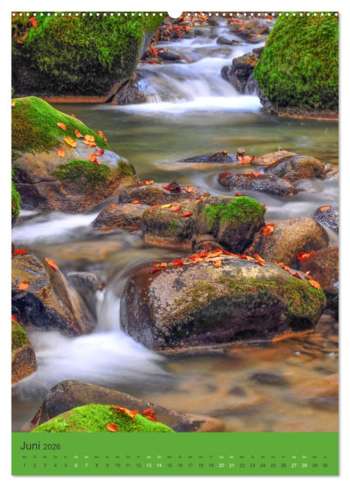 Wo der Wildbach rauscht im Allgäu (CALVENDO Wandkalender 2026)