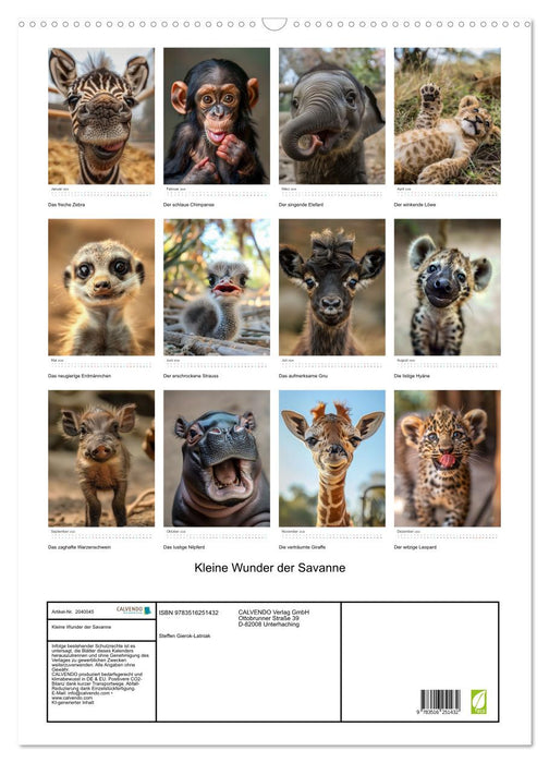 Kleine Wunder der Savanne (CALVENDO Wandkalender 2026)