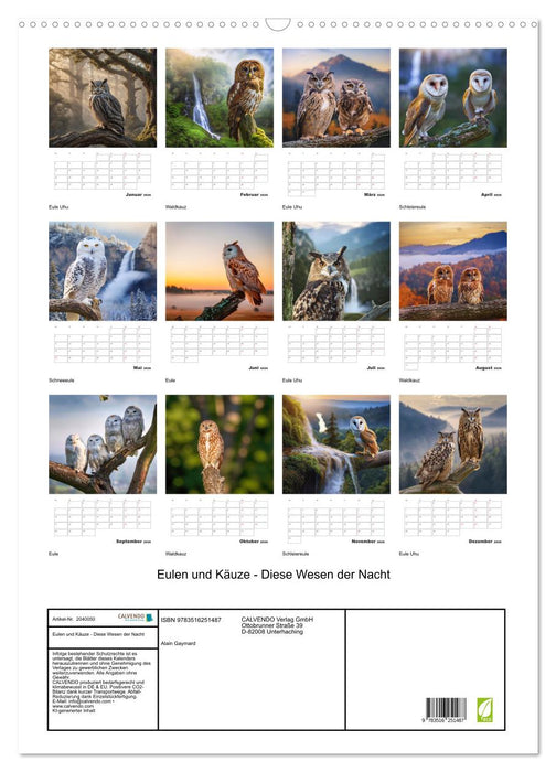 Eulen und Käuze - Diese Wesen der Nacht (CALVENDO Wandkalender 2026)