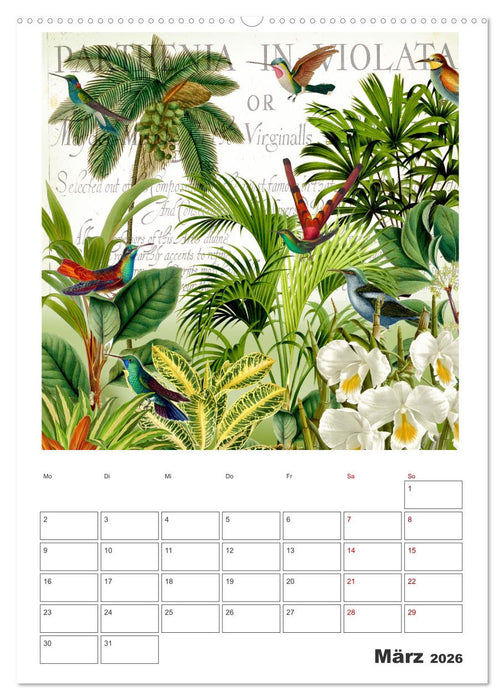 Das Paradies der Kolibris (CALVENDO Wandkalender 2026)