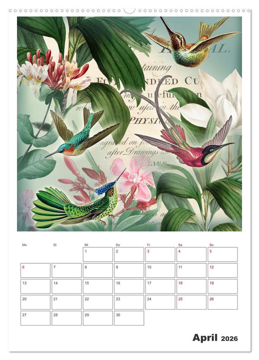 Das Paradies der Kolibris (CALVENDO Wandkalender 2026)