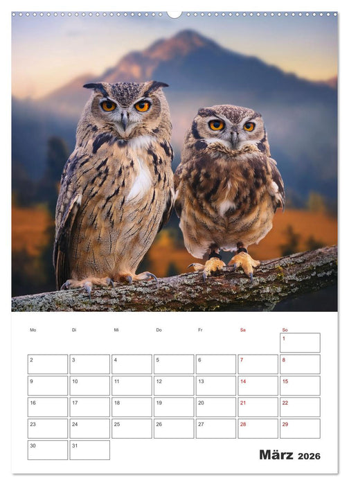 Eulen und Käuze - Diese Wesen der Nacht (CALVENDO Premium Wandkalender 2026)