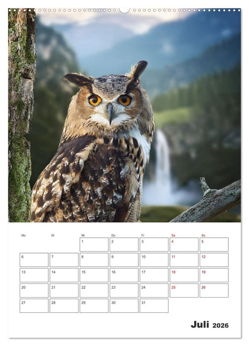Eulen und Käuze - Diese Wesen der Nacht (CALVENDO Premium Wandkalender 2026)