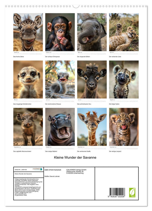 Kleine Wunder der Savanne (CALVENDO Premium Wandkalender 2026)