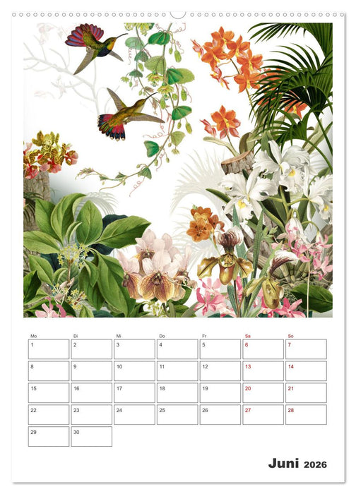 Das Paradies der Kolibris (CALVENDO Premium Wandkalender 2026)