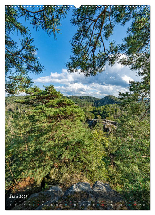 Höhepunkte der Sächsischen Schweiz (CALVENDO Wandkalender 2026)