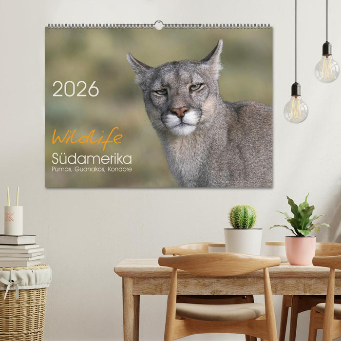 Wildlife Südamerika (CALVENDO Wandkalender 2026)