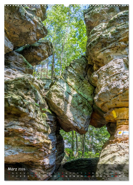 Höhepunkte der Sächsischen Schweiz (CALVENDO Premium Wandkalender 2026)