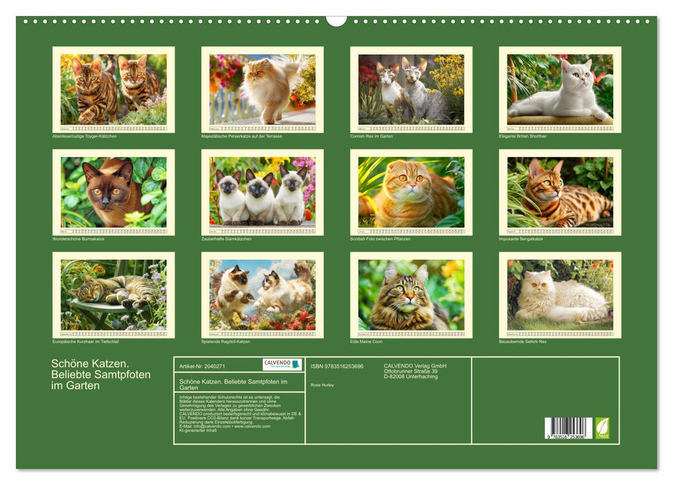 Schöne Katzen. Beliebte Samtpfoten im Garten (CALVENDO Wandkalender 2026)