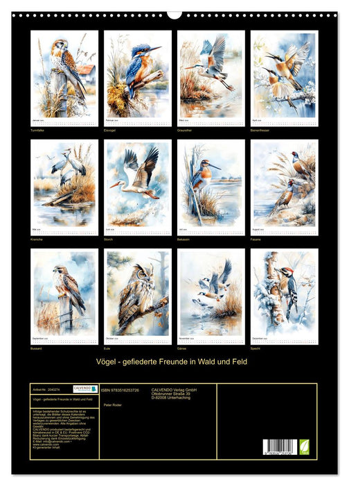 Vögel - gefiederte Freunde in Wald und Feld (CALVENDO Wandkalender 2026)
