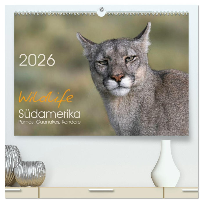 Wildlife Südamerika (CALVENDO Premium Wandkalender 2026)