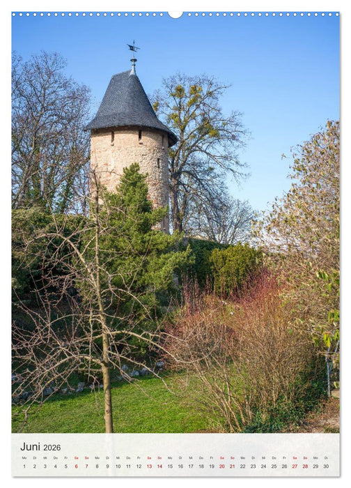 Wernigerode - Mittelalterliches Flair am Rande des Harzes (CALVENDO Wandkalender 2026)