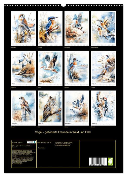 Vögel - gefiederte Freunde in Wald und Feld (CALVENDO Premium Wandkalender 2026)