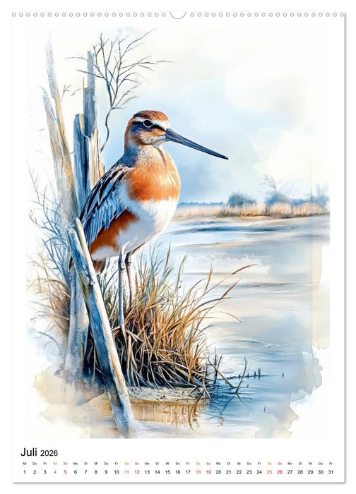 Vögel - gefiederte Freunde in Wald und Feld (CALVENDO Premium Wandkalender 2026)