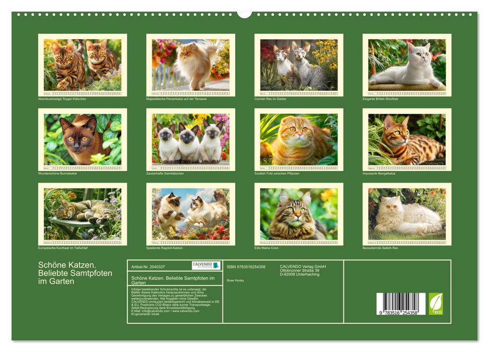 Schöne Katzen. Beliebte Samtpfoten im Garten (CALVENDO Premium Wandkalender 2026)