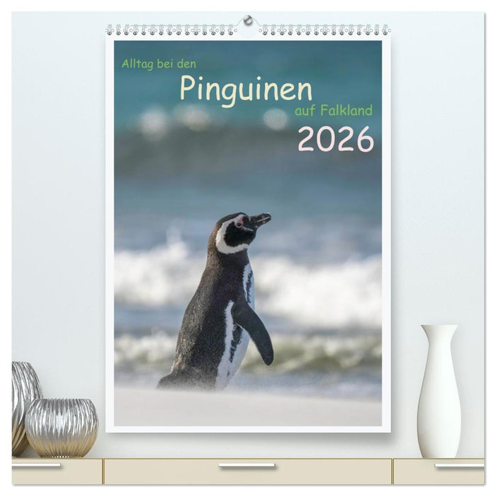 Alltag bei den Pinguinen auf Falkland (CALVENDO Premium Wandkalender 2026)
