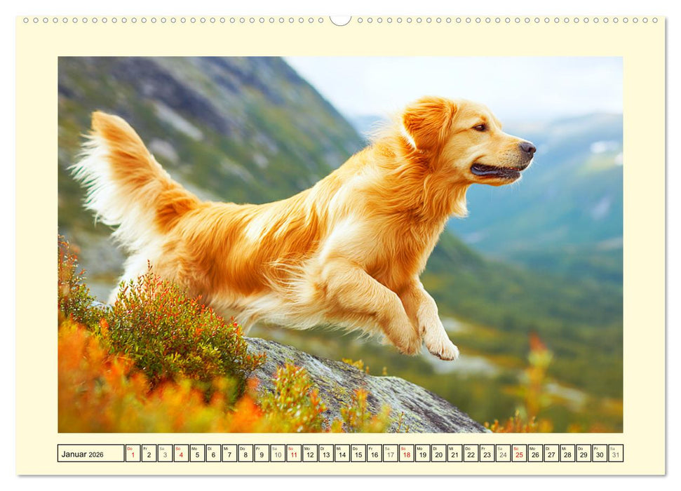 Golden Retriever. Treue Seelenhunde in der Bergwelt (CALVENDO Premium Wandkalender 2026)
