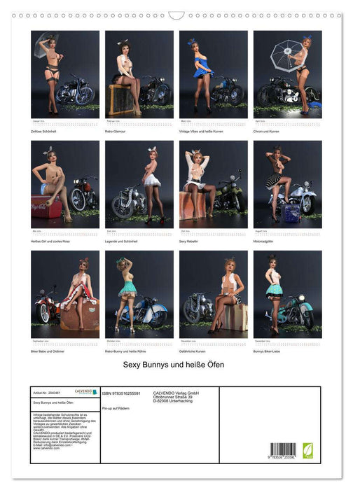 Sexy Bunnys und heiße Öfen (CALVENDO Wandkalender 2026)